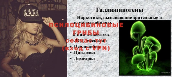 дурь Аркадак