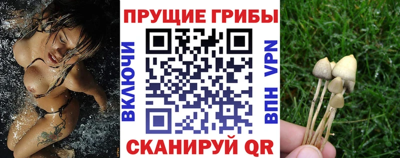 купить наркотики цена  Лебедянь  Галлюциногенные грибы ЛСД 